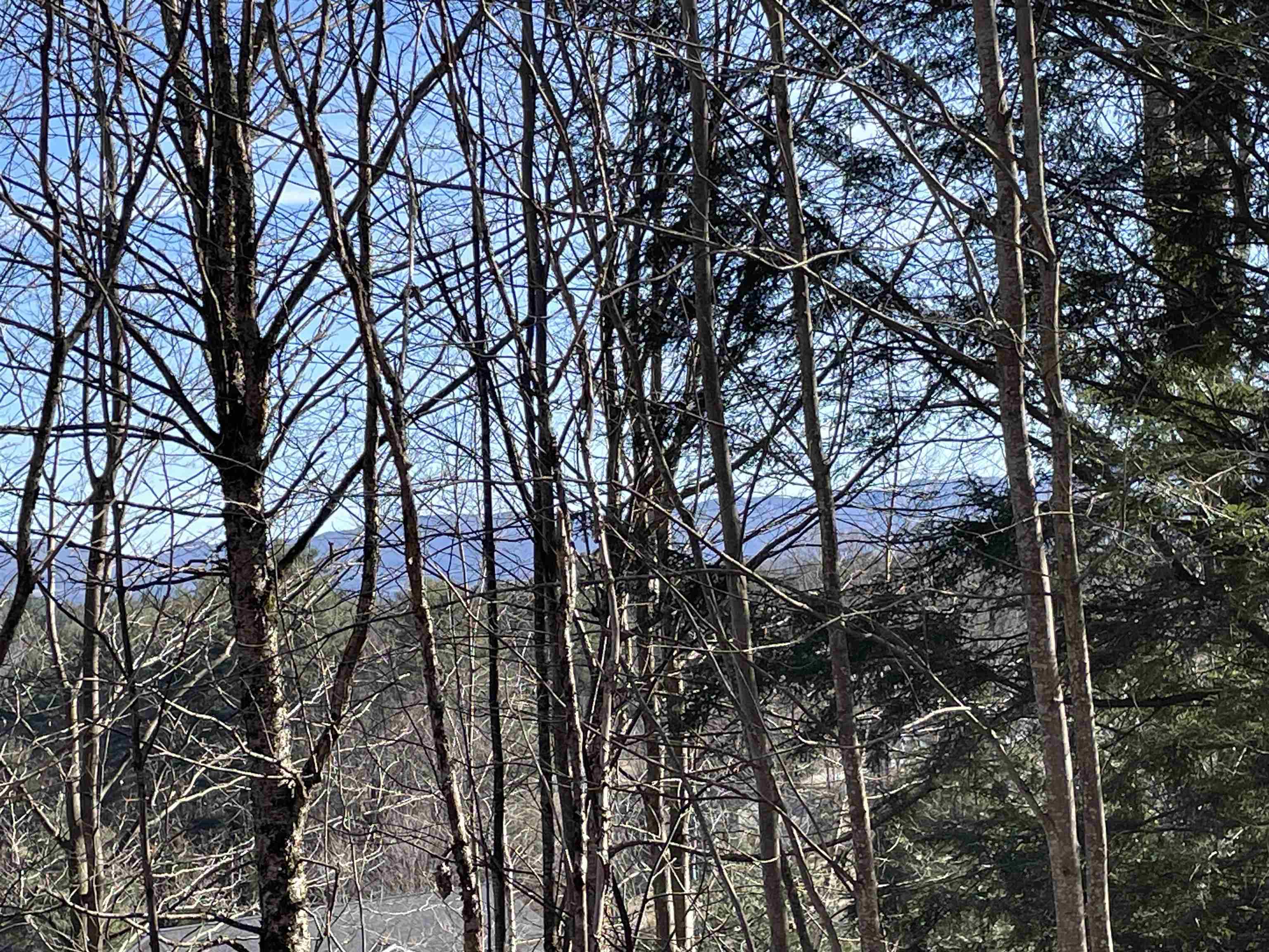 4-5 Haley Drive, Unit LOT 4 & LOT 5 Hyde Park, VT 05655 - Photo 1 of 12