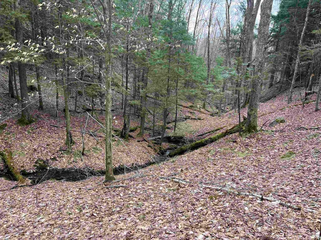 $140,000 | 4-5 Haley Drive, Unit LOT 4 & LOT 5, Hyde Park, VT 05655