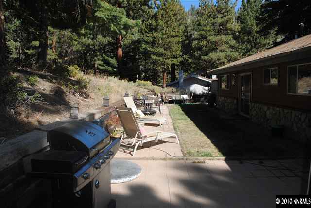 355 Andria Drive Stateline, NV 89449 - Photo 9 of 13