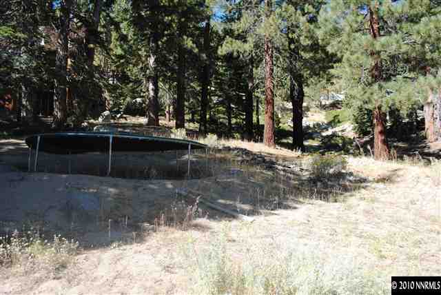 355 Andria Drive Stateline, NV 89449 - Photo 10 of 13 a view of backyard with wooden fence and trees