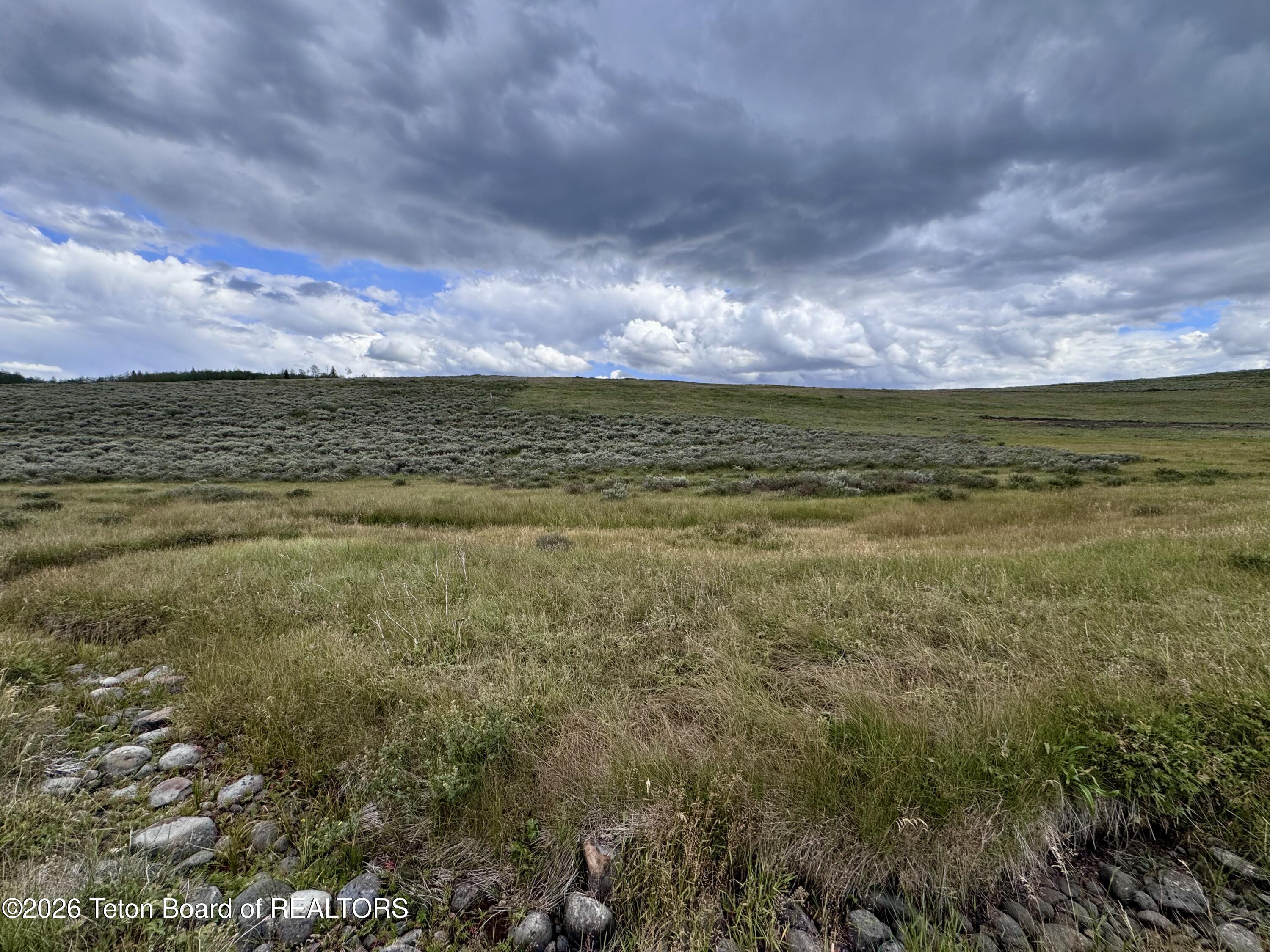 59 Aspen Ridge Road Daniel, WY 83115 - Photo 36 of 44 Lush green grass