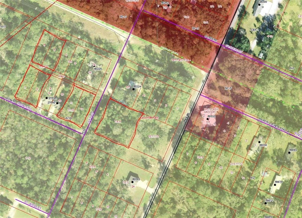 0 Moran Road Lacombe, LA 70445 - Photo 3 of 3 Gallery Image 3