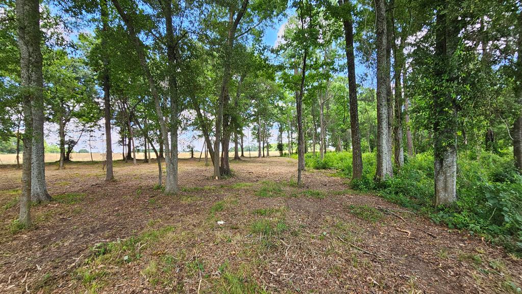 92 County Road 92 Slocomb, AL 36375 - Photo 38 of 58