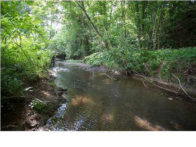 6022 Tallant Road Apison, TN 37302 - Photo 14 of 18 Additional Photo