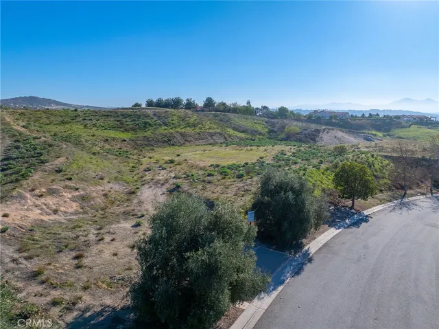 a view of a city with lots of trees