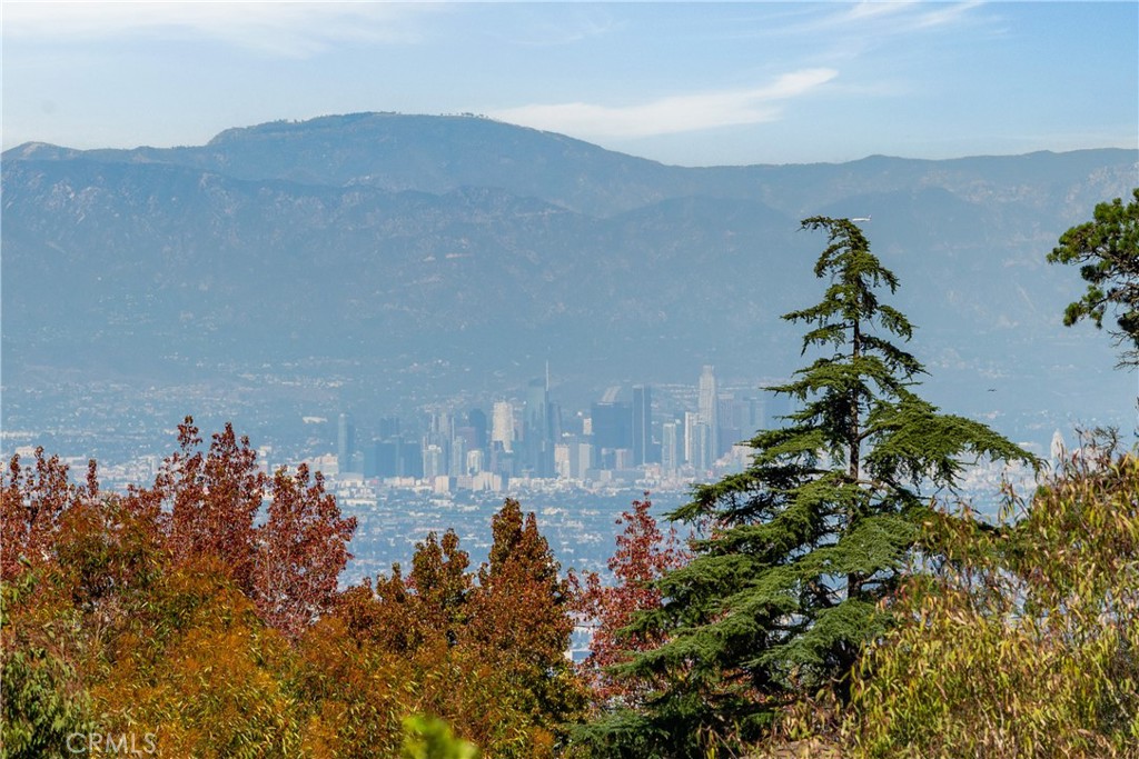 34 Crest Rolling Hills Palos Verdes Peninsula, CA 90274 - Photo 31 of 35 a vase of flowers sitting in a field