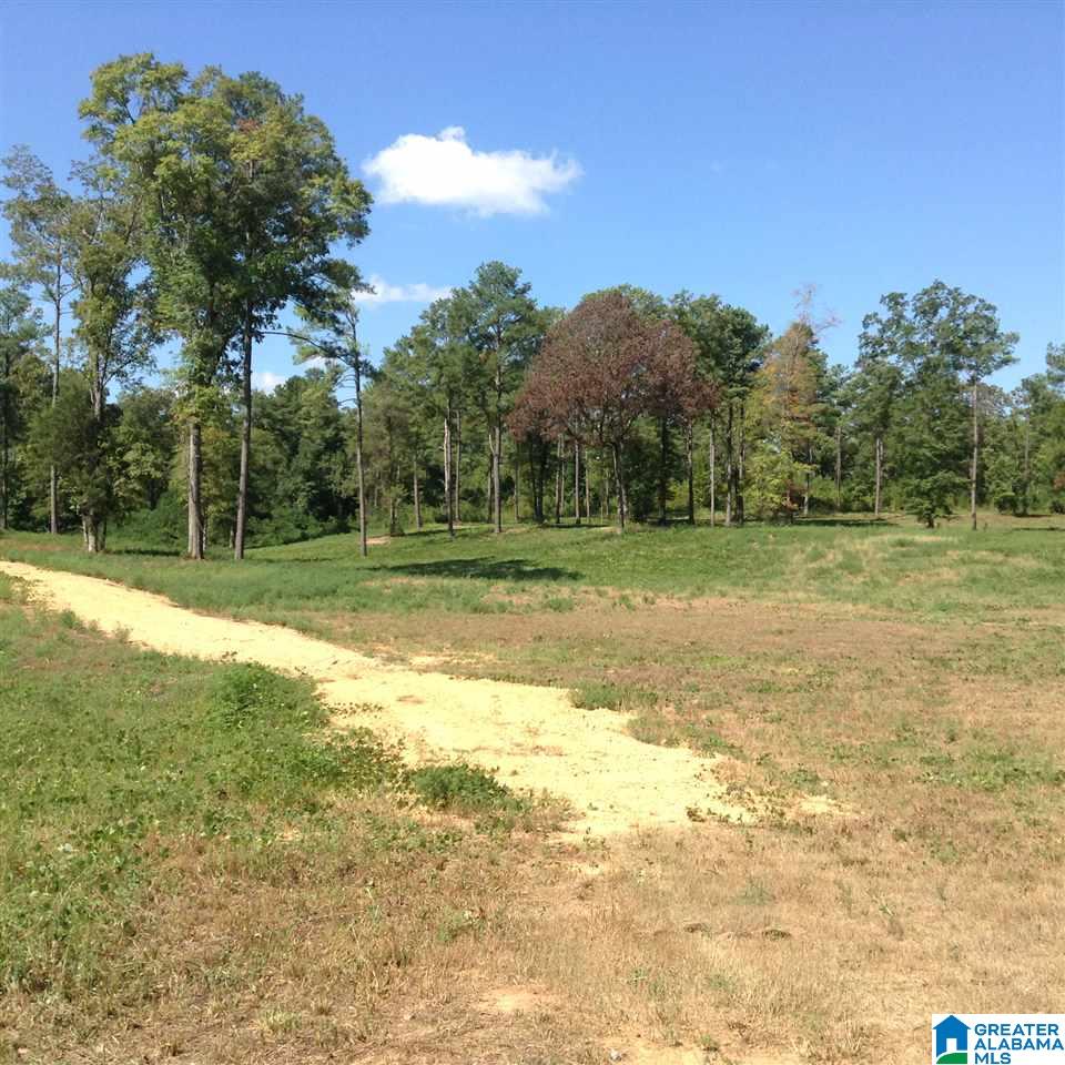 19 Highway Montevallo Al Montevallo, AL 35115 - Photo 9 of 9