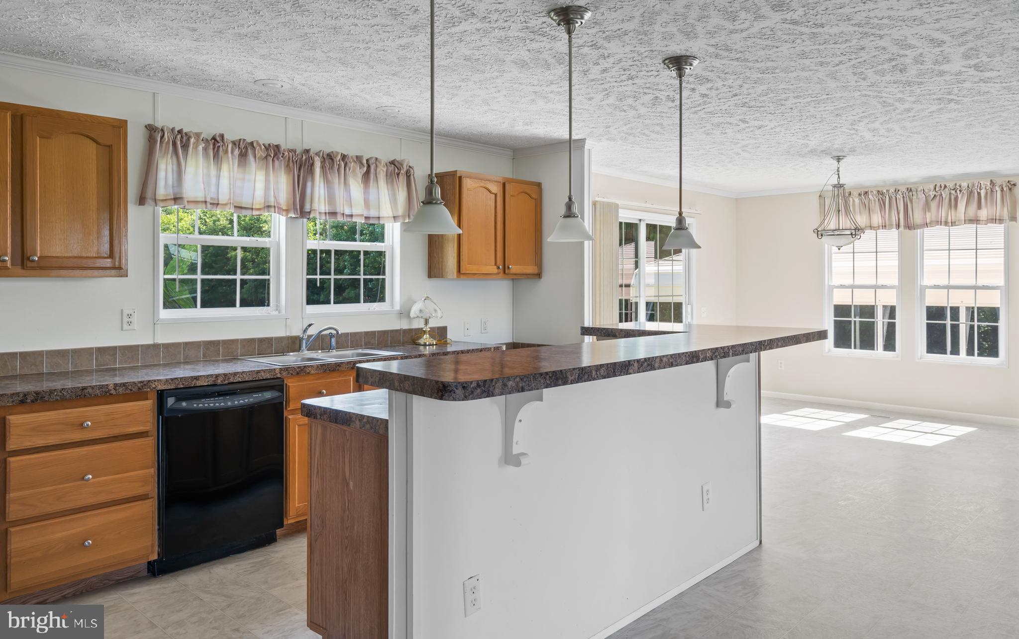 4769 Rabbit Run Road Bridgeville, DE 19933 - Photo 18 of 46 Breakfast bar in the kitchen