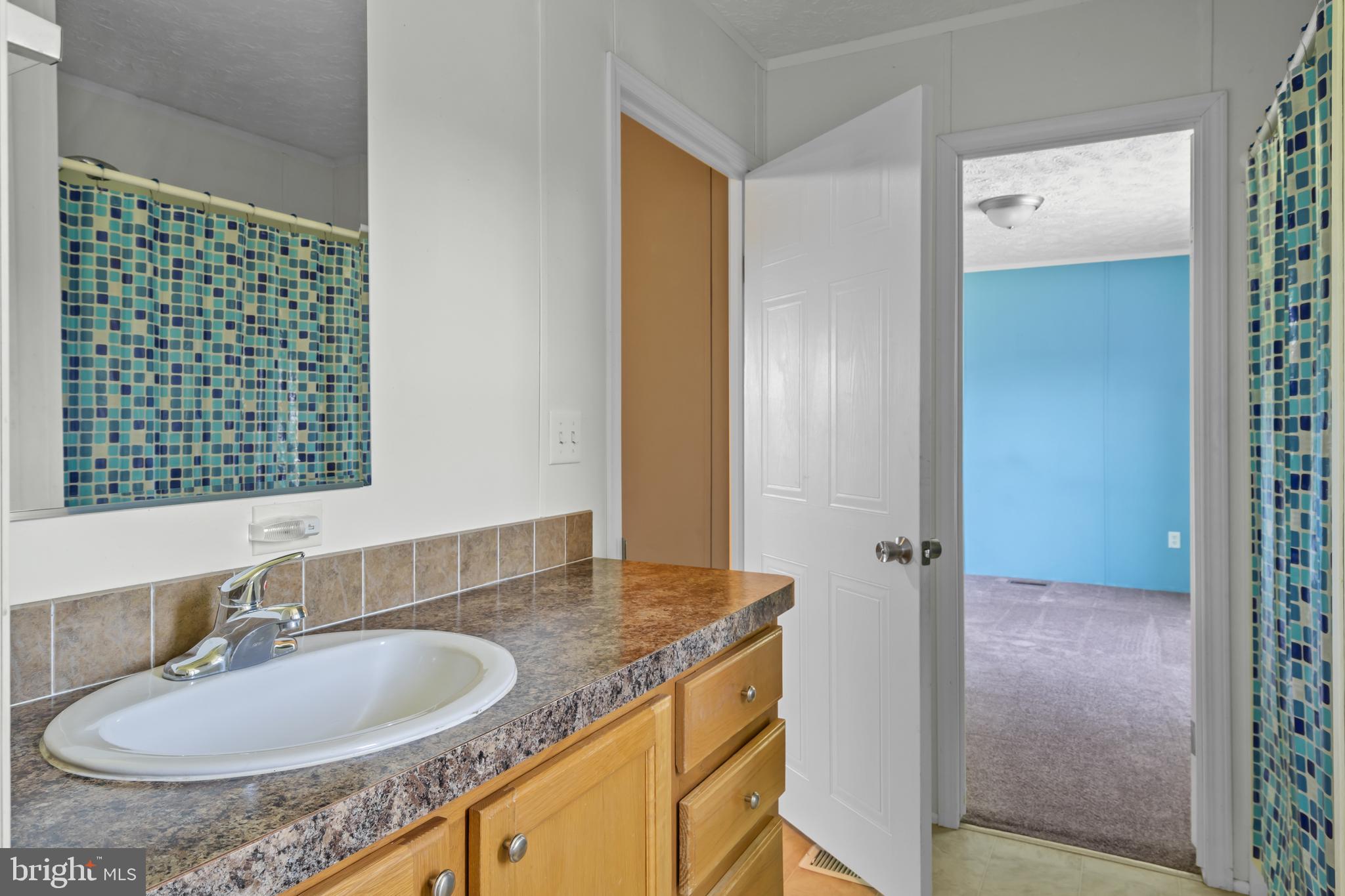 4769 Rabbit Run Road Bridgeville, DE 19933 - Photo 34 of 46 Jack and Jill Bathroom