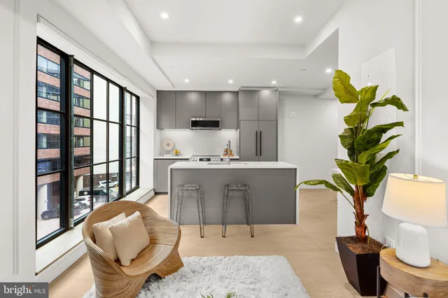 a living room filled with furniture and a potted plant