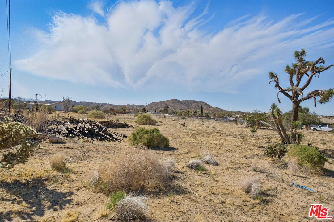 6391 Ruth Drive Yucca Valley, CA 92284 - Photo 39 of 56 a view of a dry yard with wooden fence