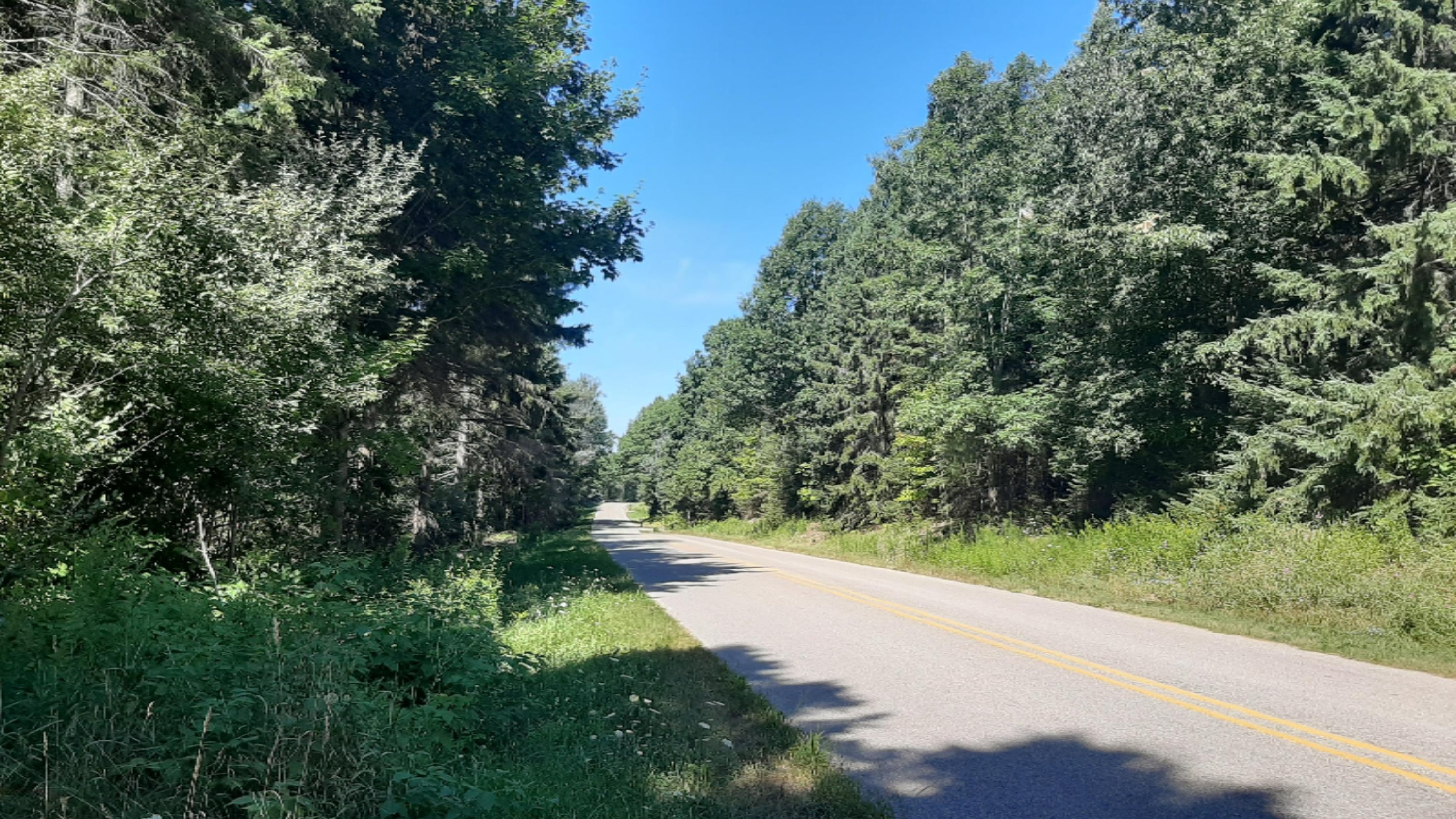 30-acres Spruce Ridge Road Bear Lake, MI 49614 - Photo 26 of 42 Nice Road Frontage