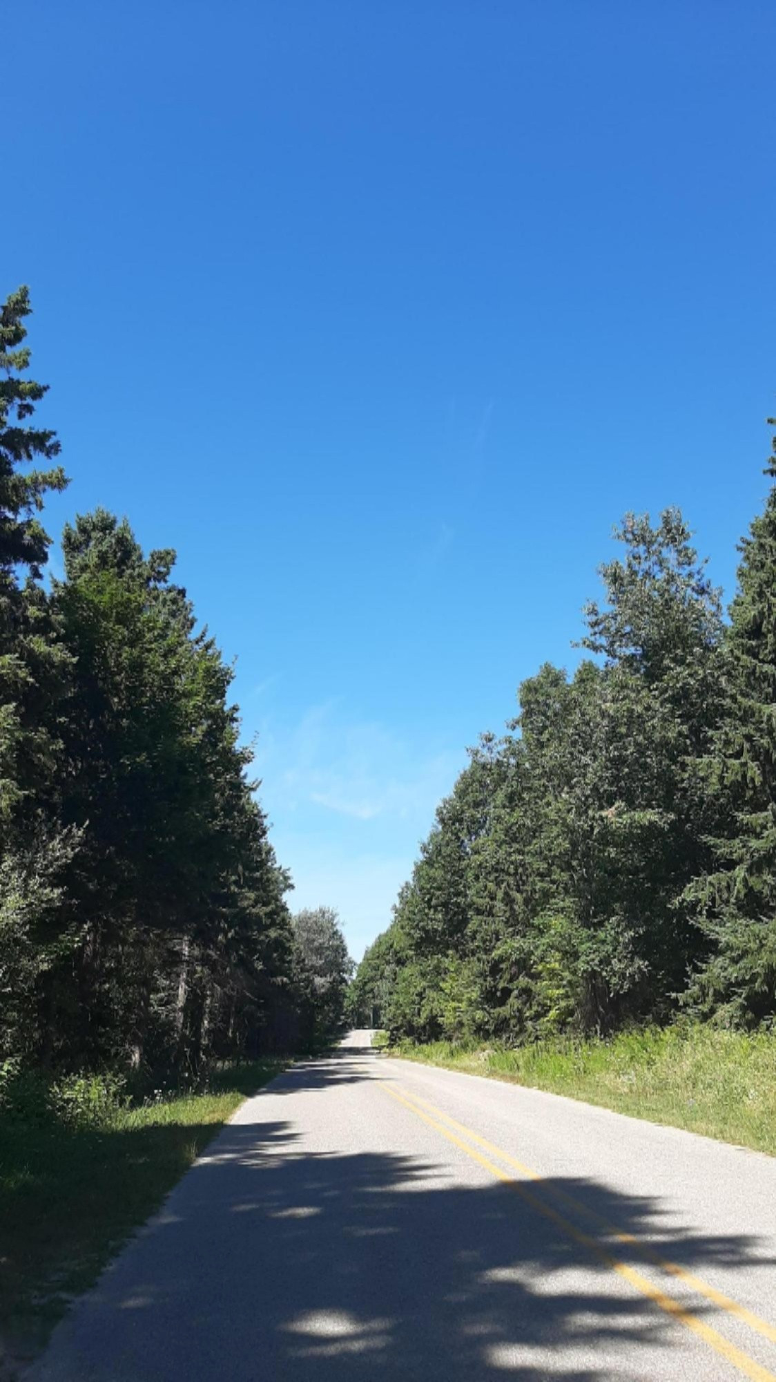 30-acres Spruce Ridge Road Bear Lake, MI 49614 - Photo 35 of 42 Country Roads