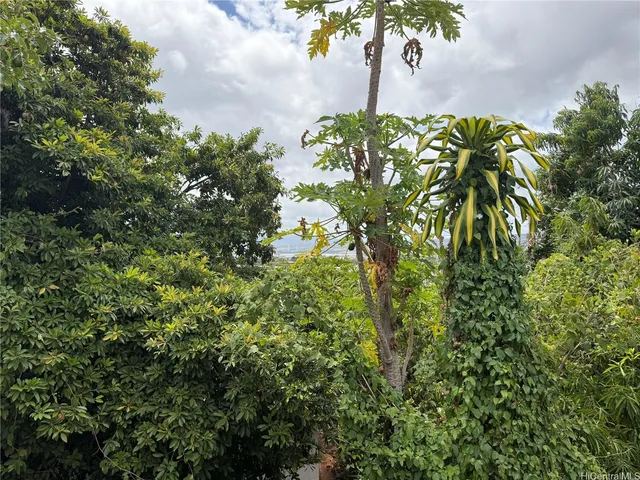 a view of a backyard of the house