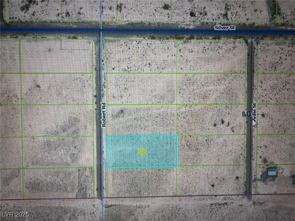 10091 Robert Road Pahrump, NV 89048 - Photo 2 of 2