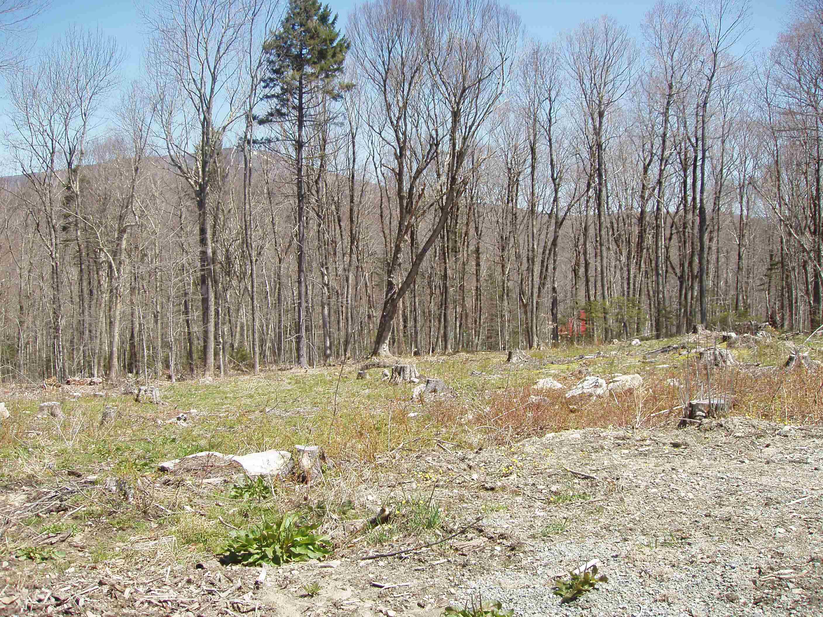 0 Moose Hollow Road, Unit 47 Winhall, VT 05340 - Photo 1 of 2