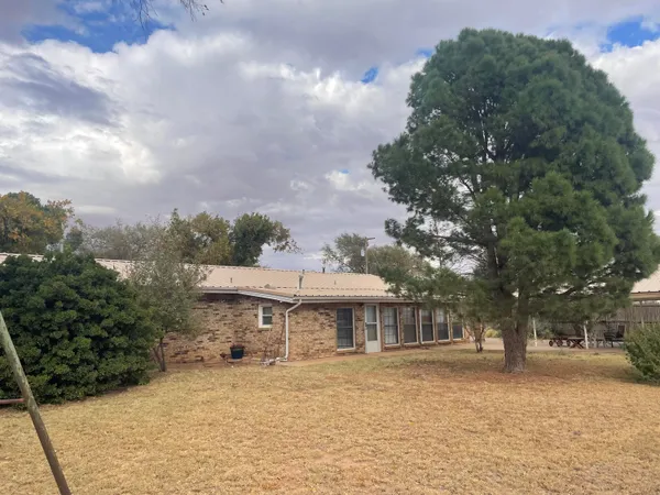 a view of a yard with a large trees