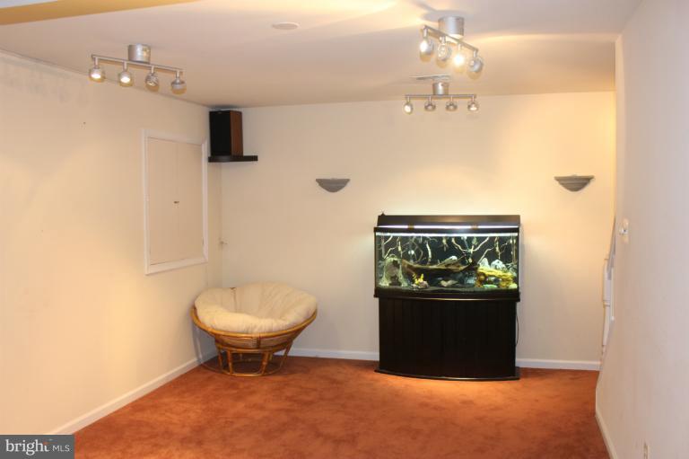 11302 Old Cistern Lane Laurel, MD 20708 - Photo 22 of 27 Basement