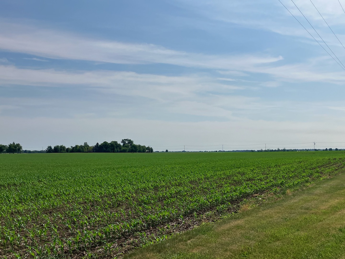 0 Rt 38 Rochelle, IL 61068 - Photo 12 of 14