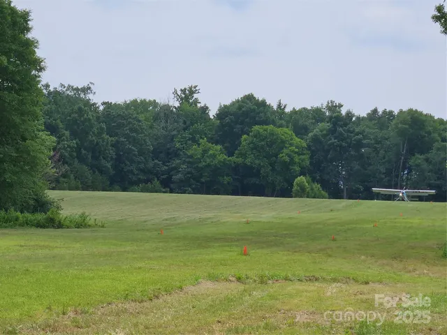 a view of three trees with an outdoor space