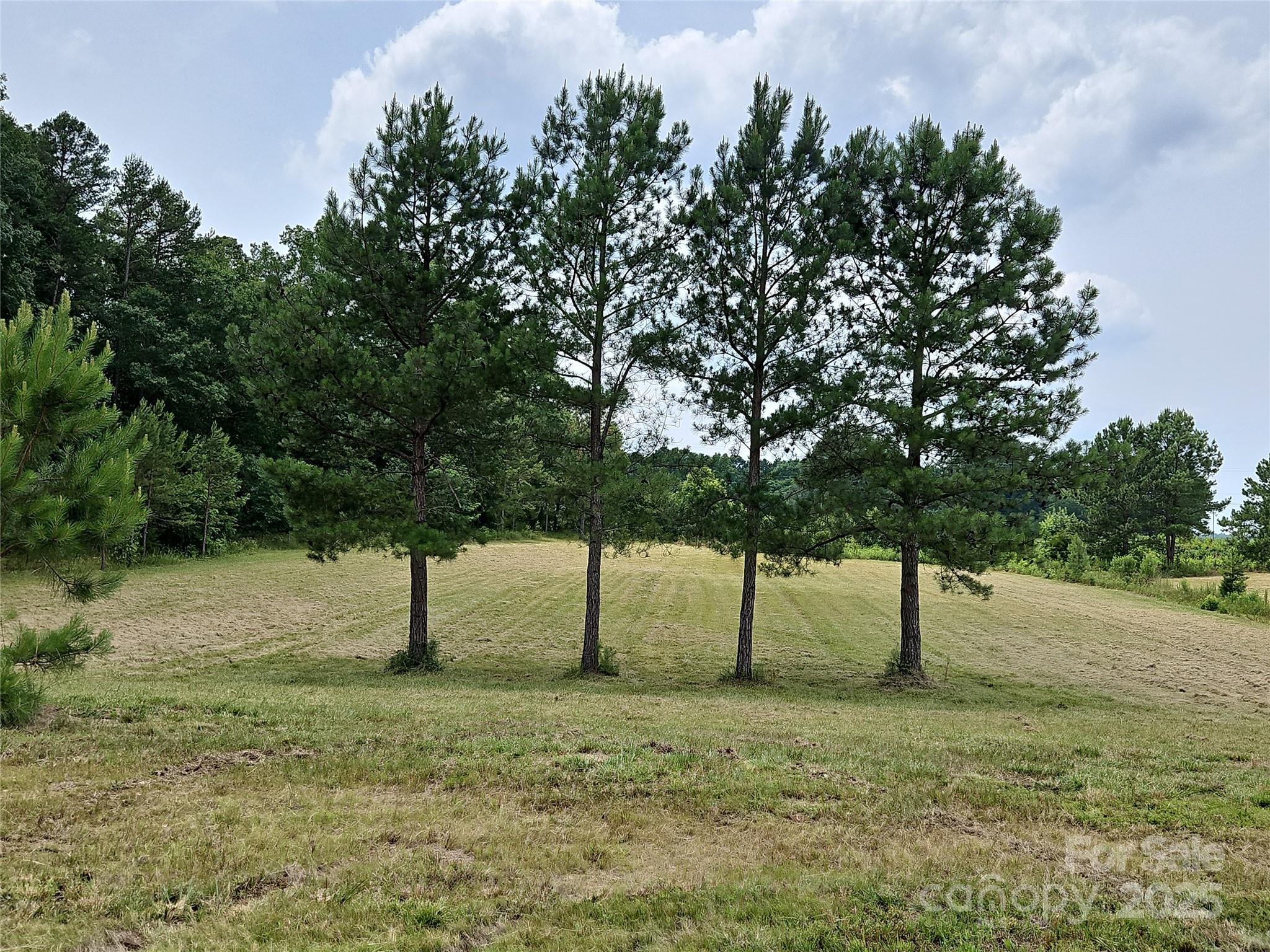 2905 Medlin Road Monroe, NC 28112 - Photo 35 of 39 a view of three trees with an outdoor space