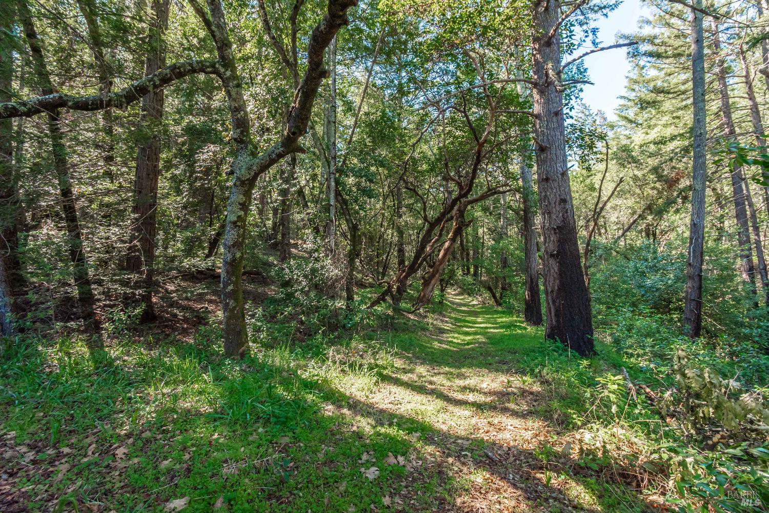 0 Dry Creek Road Napa, CA 94558 - Photo 61 of 98