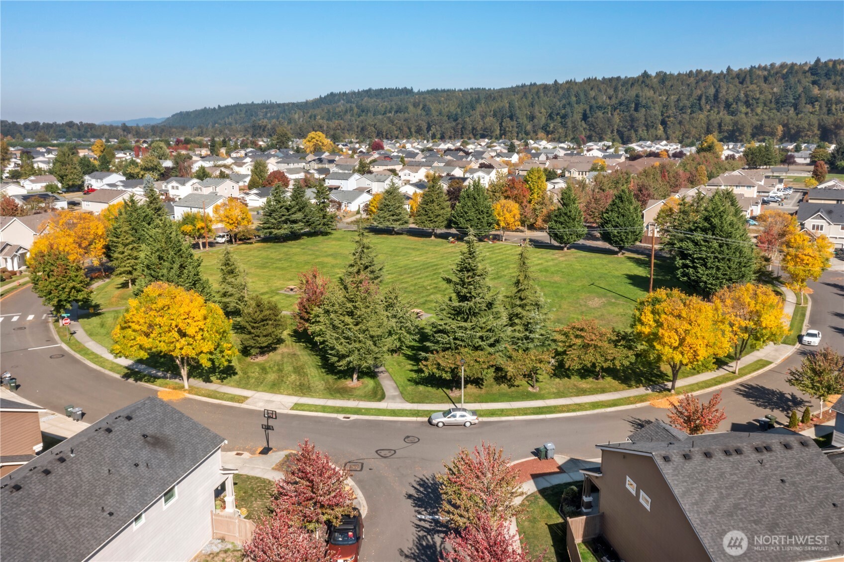 1002 O O'Farrell Lane Northwest Orting, WA 98360 - Photo 37 of 38 an aerial view of residential houses with outdoor space