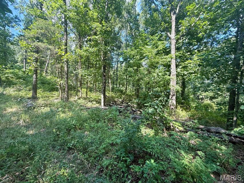 10595 Mill Road Bucyrus, MO 65444 - Photo 34 of 34