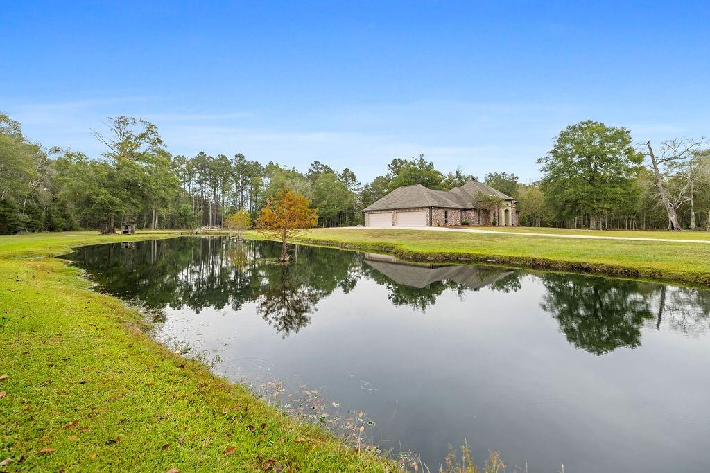 12519 Sims Road Denham Springs, LA 70706 - Photo 6 of 38