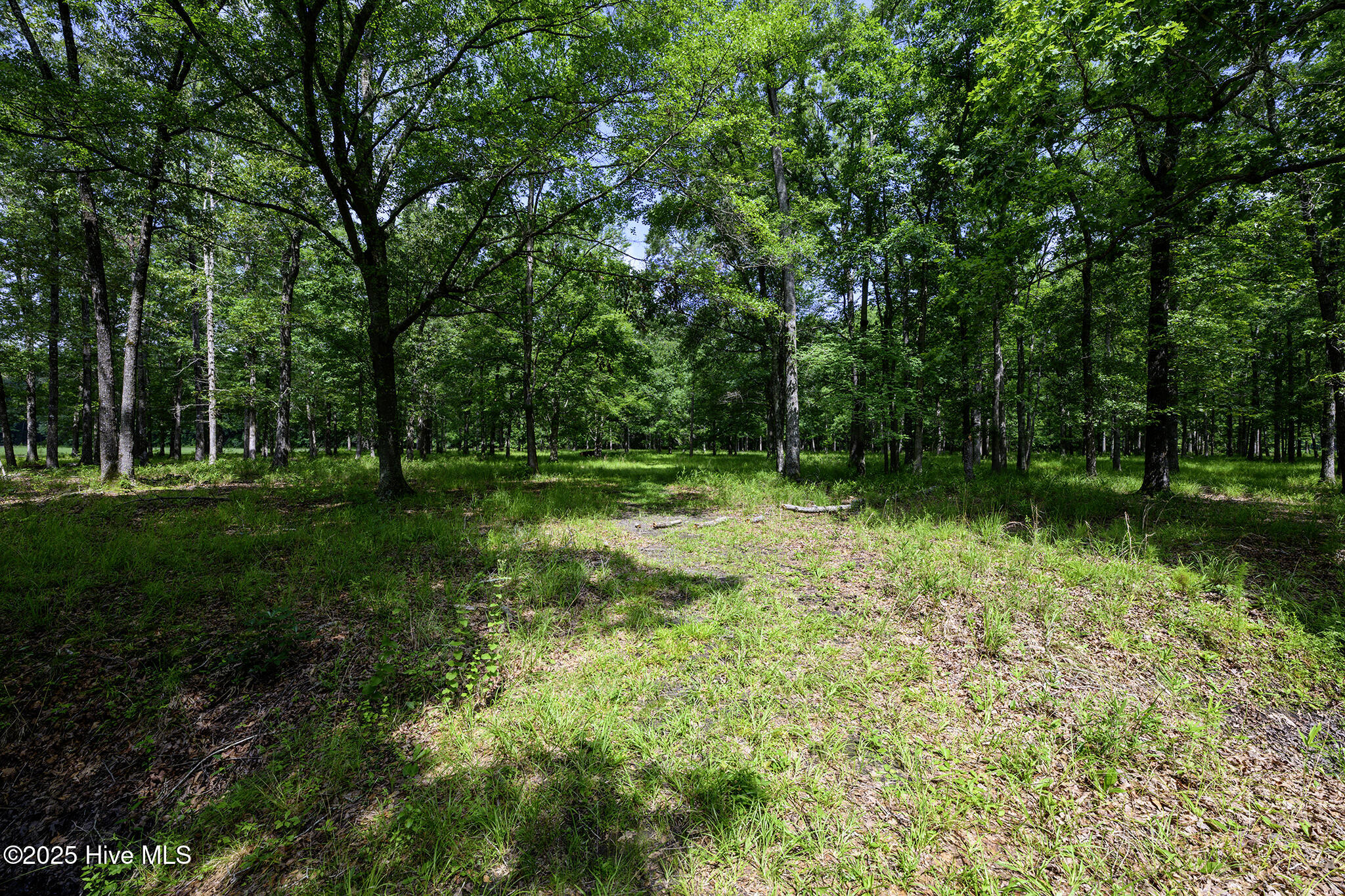 205 Hudnell Road Vanceboro, NC 28586 - Photo 64 of 71 205 Hudnell Road, Ernul, NC 28527