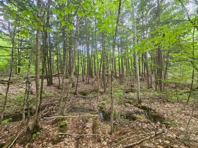 $499,000 | M10-l44 Mountain View Road, Fryeburg, ME 04037