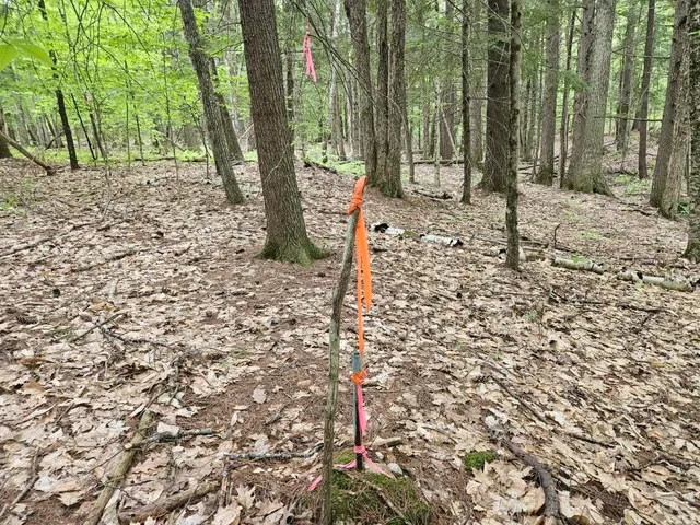 $499,000 | M10-l44 Mountain View Road, Fryeburg, ME 04037