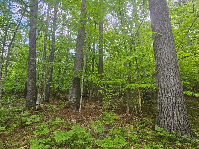 $499,000 | M10-l44 Mountain View Road, Fryeburg, ME 04037