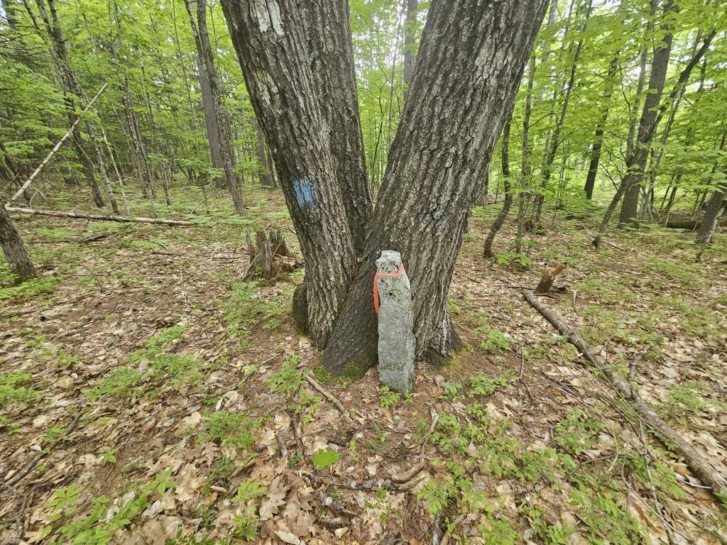 M10-l44 Mountain View Road Fryeburg, ME 04037 - Photo 17 of 25 20250527_174953