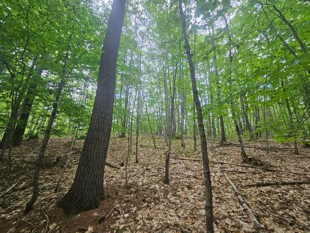 $499,000 | M10-l44 Mountain View Road, Fryeburg, ME 04037