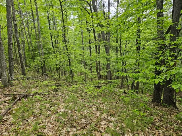 $499,000 | M10-l44 Mountain View Road, Fryeburg, ME 04037