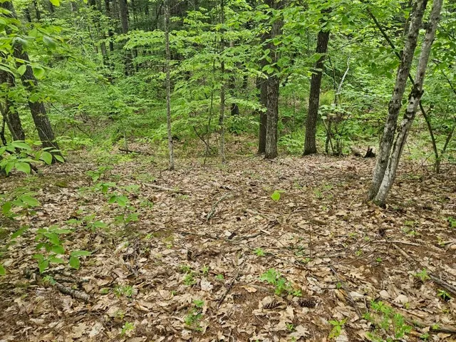 $499,000 | M10-l44 Mountain View Road, Fryeburg, ME 04037