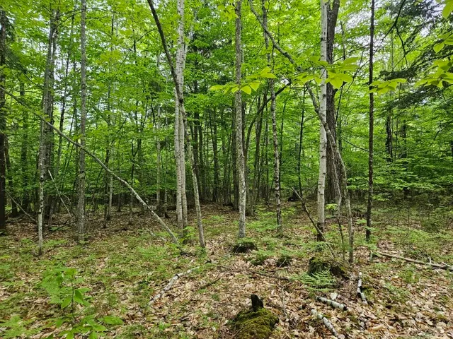 $499,000 | M10-l44 Mountain View Road, Fryeburg, ME 04037