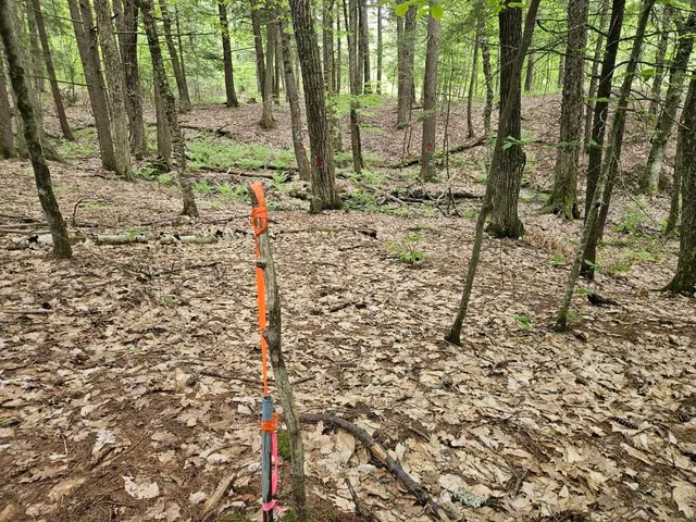 $499,000 | M10-l44 Mountain View Road, Fryeburg, ME 04037