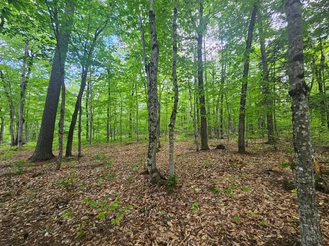 $499,000 | M10-l44 Mountain View Road, Fryeburg, ME 04037