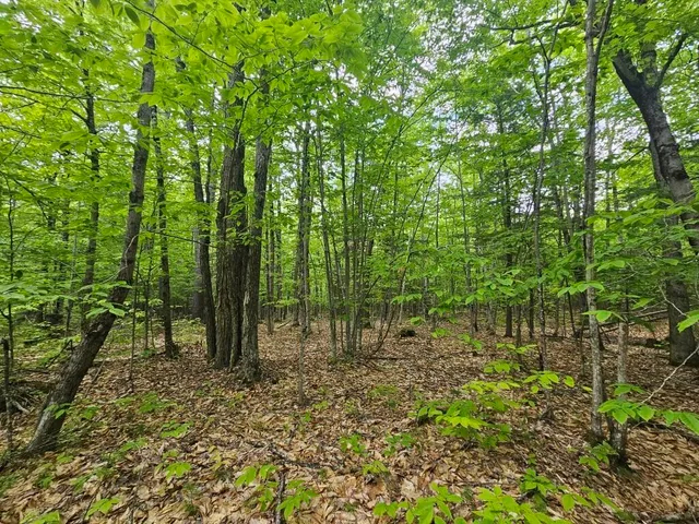 $499,000 | M10-l44 Mountain View Road, Fryeburg, ME 04037