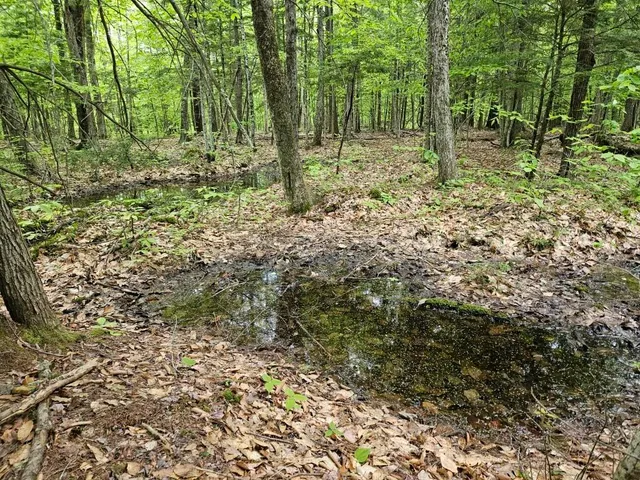 $499,000 | M10-l44 Mountain View Road, Fryeburg, ME 04037