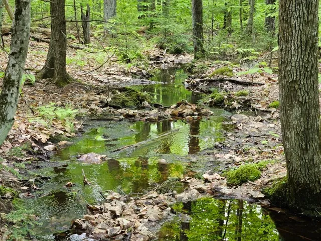 $499,000 | M10-l44 Mountain View Road, Fryeburg, ME 04037