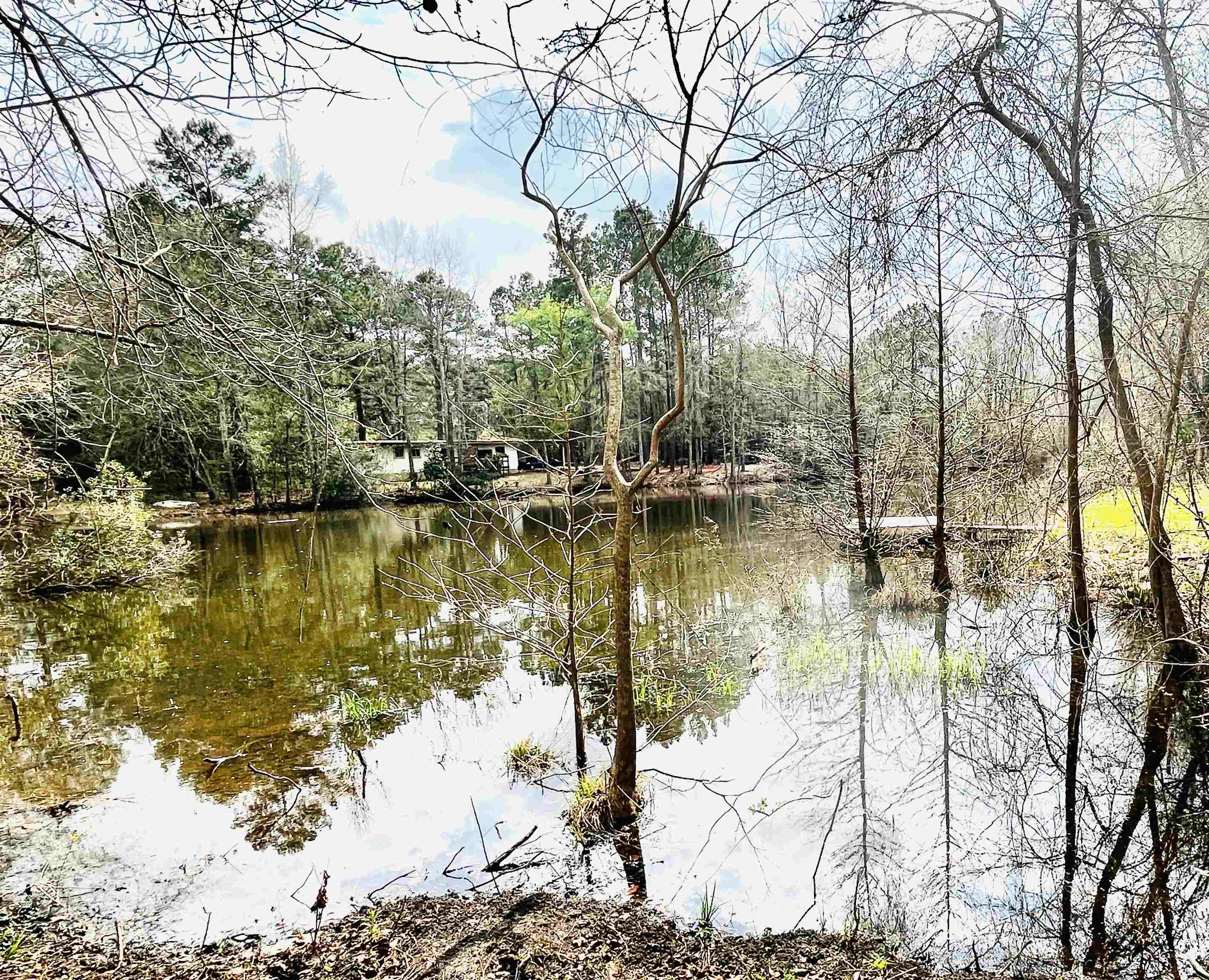 202 Sierra Road Havana, FL 32333 - Photo 12 of 19