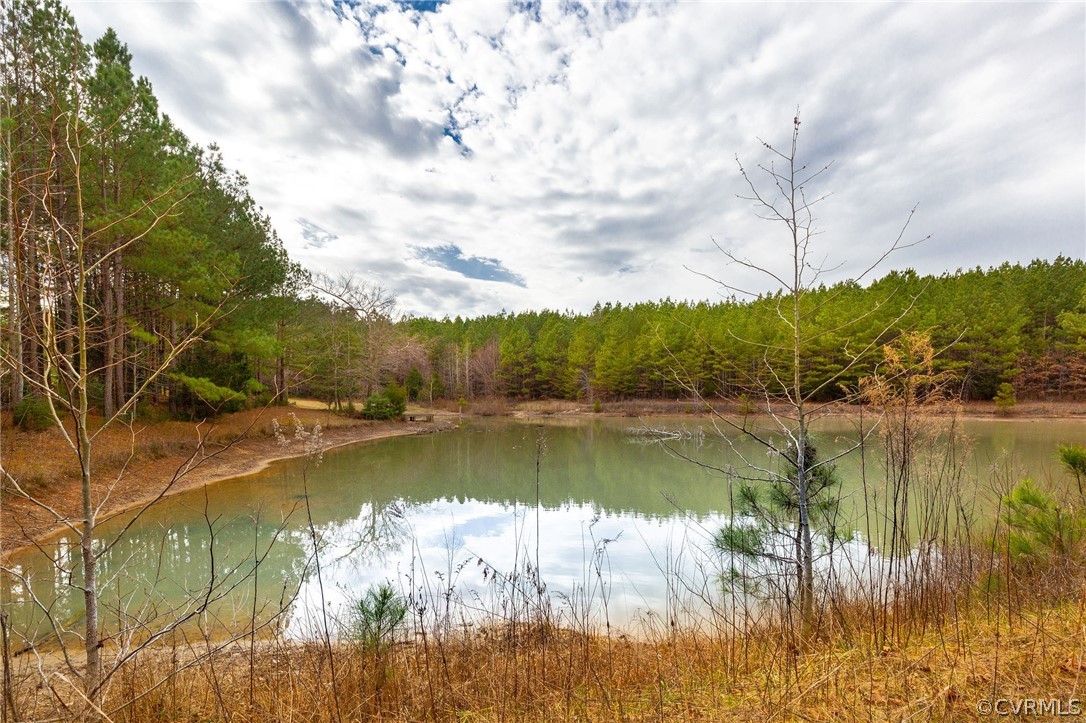 832 Clayton Road Powhatan, VA 23139 - Photo 45 of 48