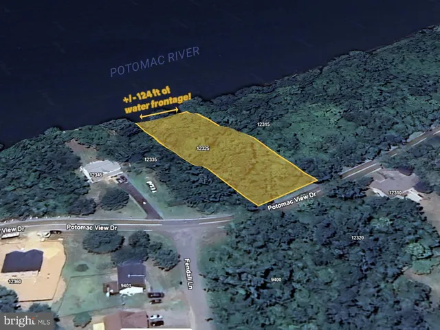 a view of a yard with plants