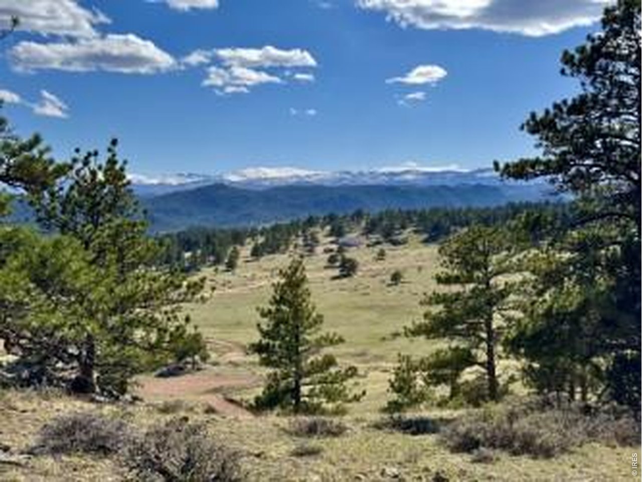 0 Red Feather Lakes Road Livermore, CO 80536 - Photo 8 of 40