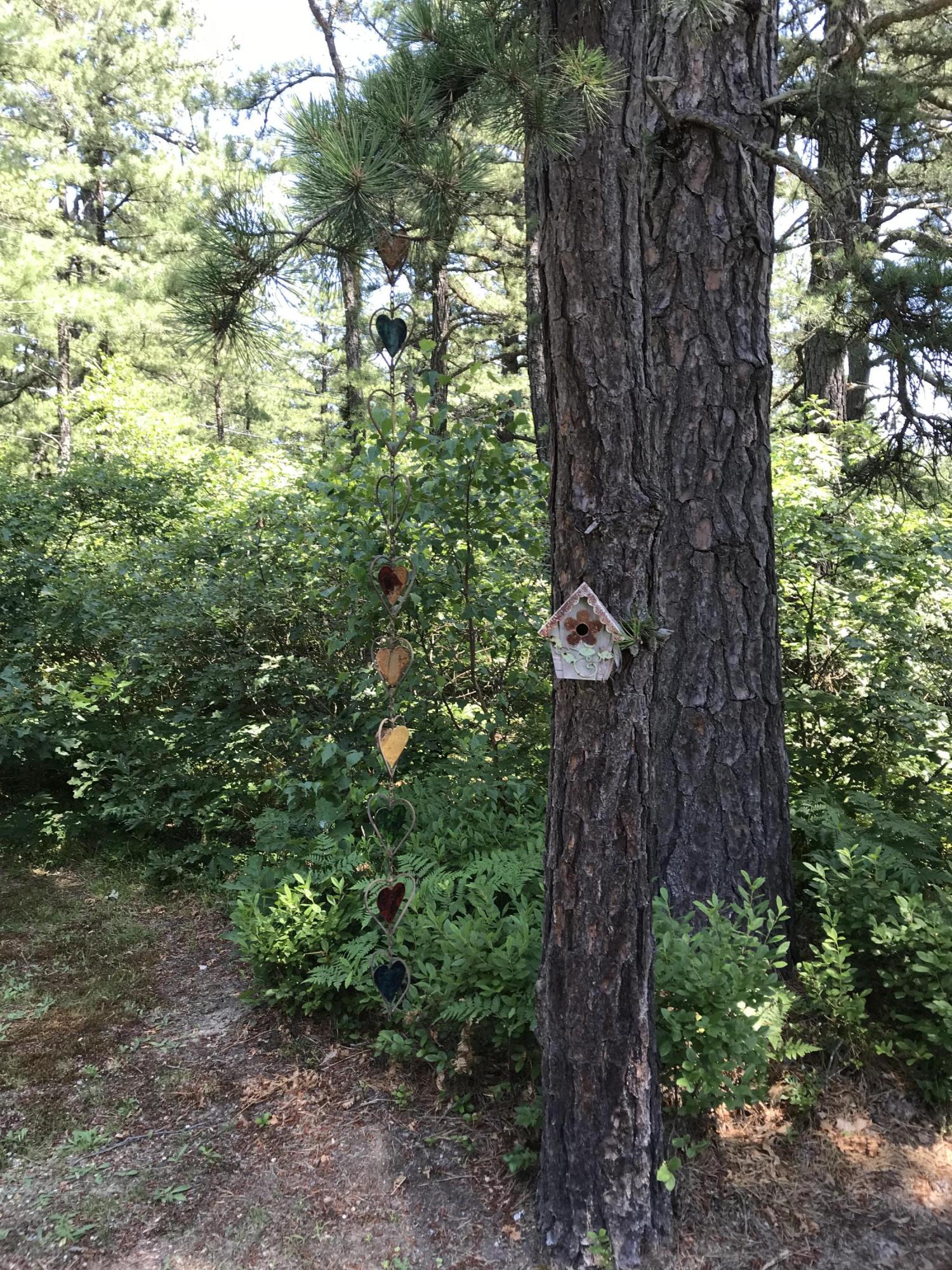 194 Lake Sherburne Road Waterboro, ME 04087 - Photo 43 of 52 5E69081B-F7C1-4863-8C02-600A8F34C052