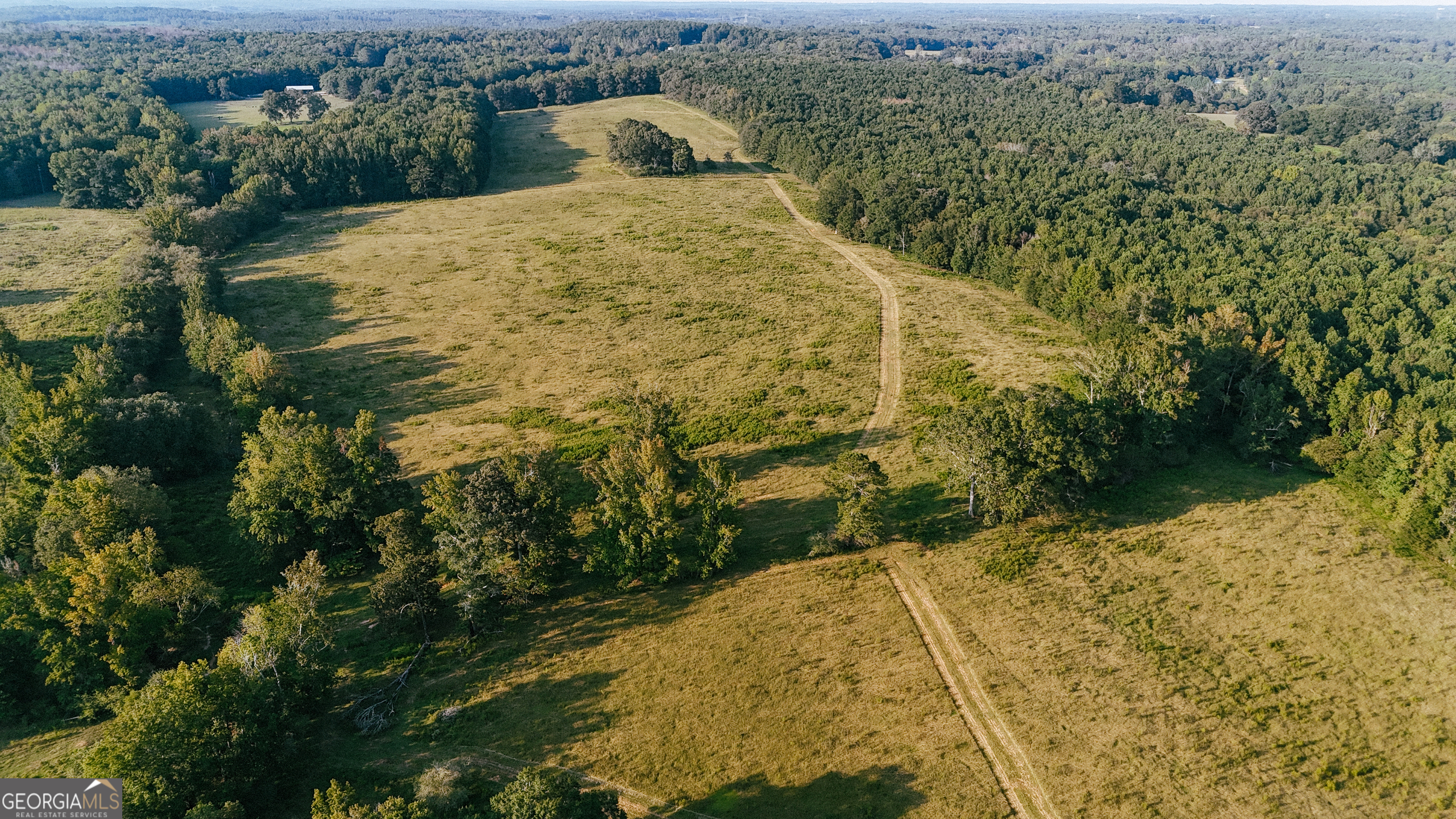 260.66-ac Bohannon Road Grantville, GA 30220 - Photo 13 of 22 a view of a yard