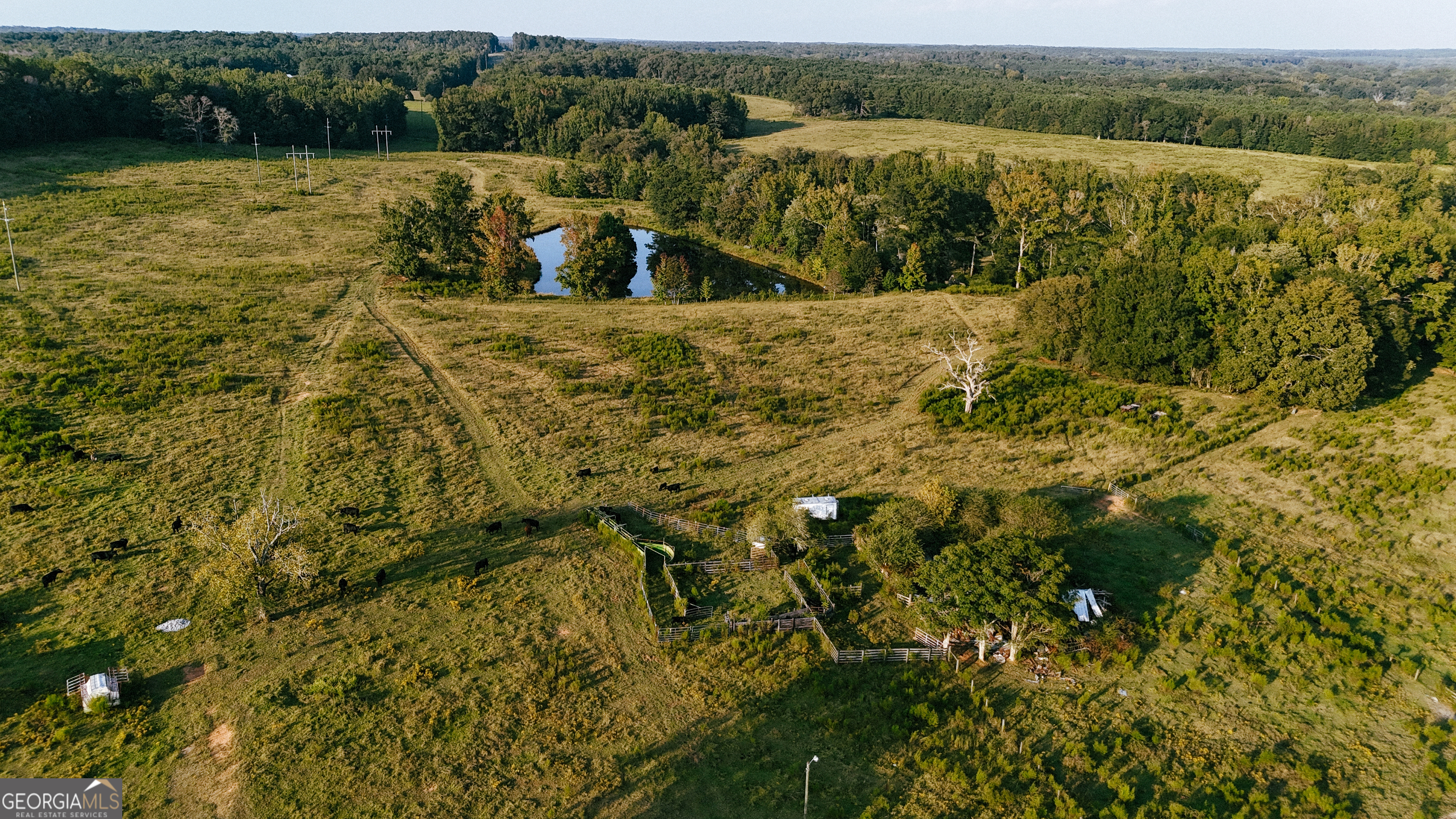 260.66-ac Bohannon Road Grantville, GA 30220 - Photo 14 of 22 a view of a lake with a house
